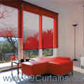 Roller Blinds for Dropdown Window